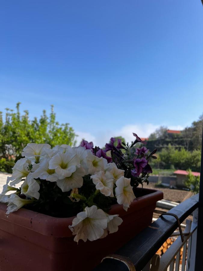 Mamaral Hotell Agerola Exteriör bild